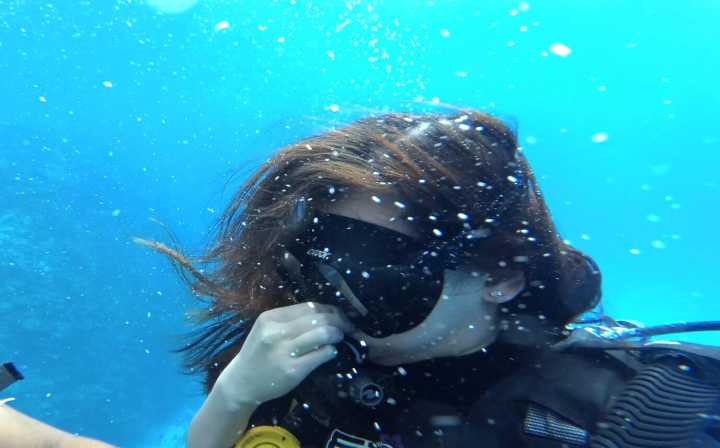 斐济这个国家怎么样,斐济免签哪些国家