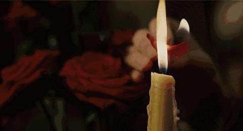 一见误终生全文,一见就误终生的因果