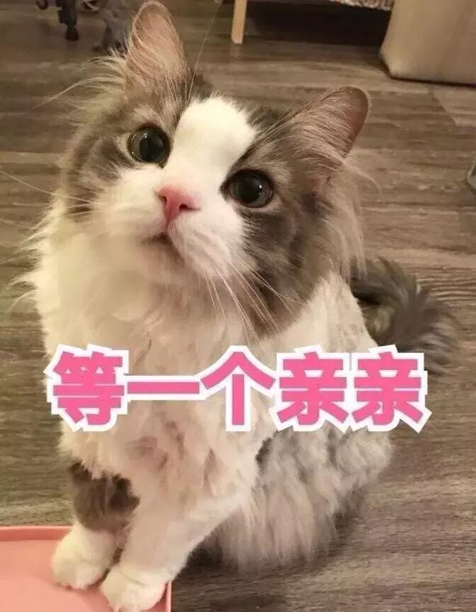 妆前保湿到什么程度可以涂隔离,妆前和隔离是一回事吗