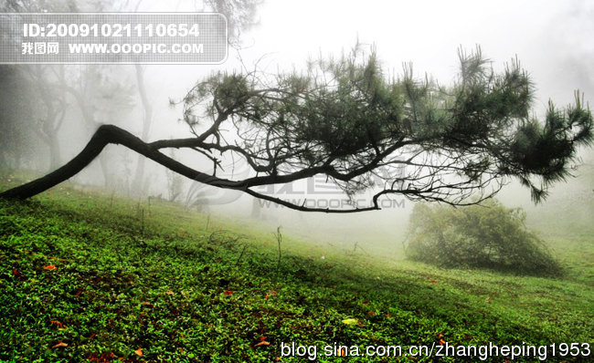 山西榆社结婚的风俗,榆社更修村结婚风俗