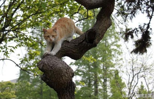 凡事留一手小说,凡事留一手出自哪一个电影