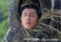 春运送福温暖旅途,春运火车暖心