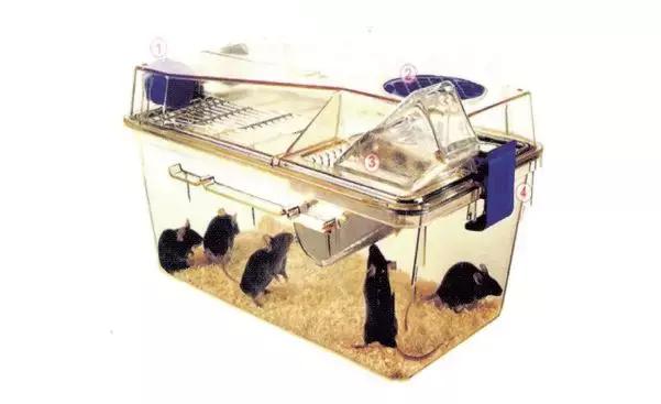 实验动物福利原则,科技对动物的好处