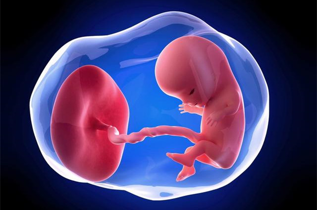 受精卵原来已经悄悄着床！肚子里都有小宝宝了，宝妈们却仍然不知