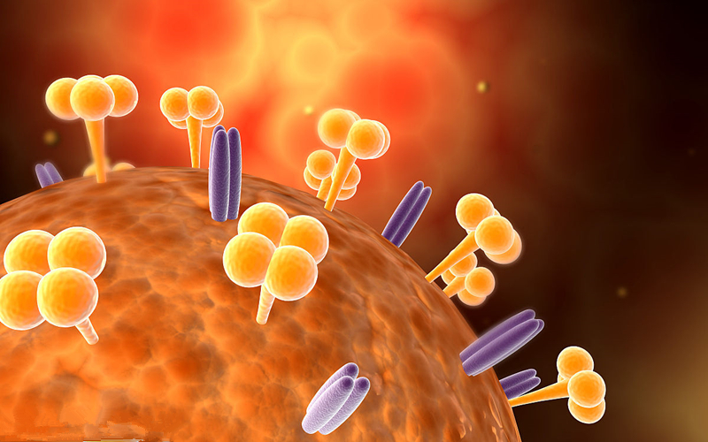 近期流感病毒有效药,近期流感防治文章