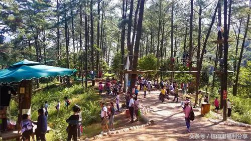 福州最便宜性价比最高的温泉,福州真正的温泉在哪里