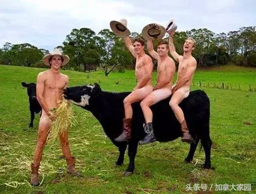 “劳动是最美的”！农民小哥农场“裸体庆丰收”火爆社交网络