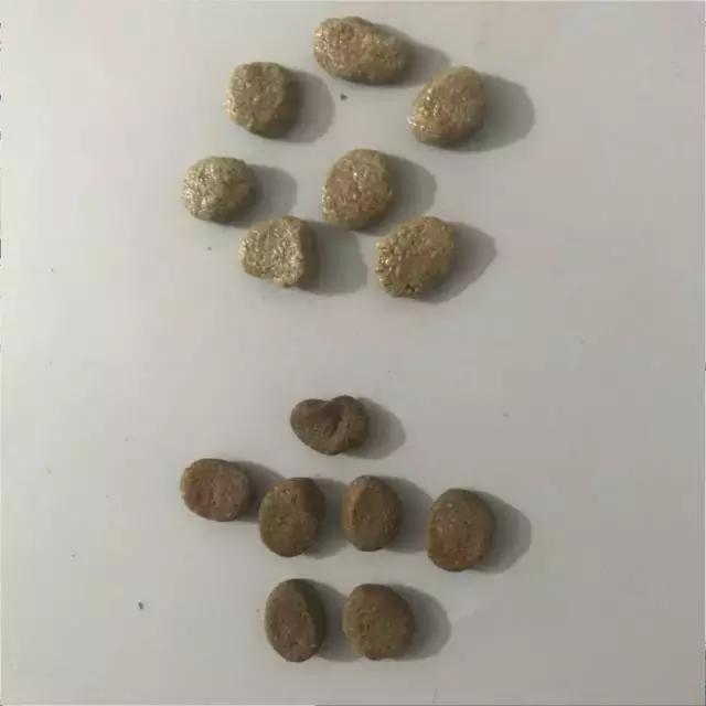 狗粮推荐冠能,狗粮品牌冠能