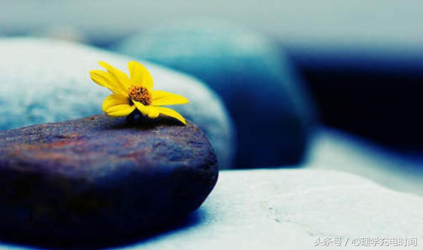 心理学课提高情商的步骤有,心理学提高情商视频