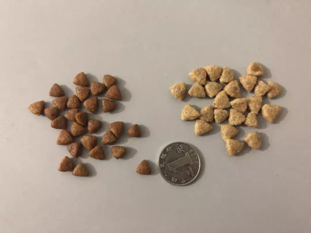 狗粮推荐冠能,狗粮品牌冠能