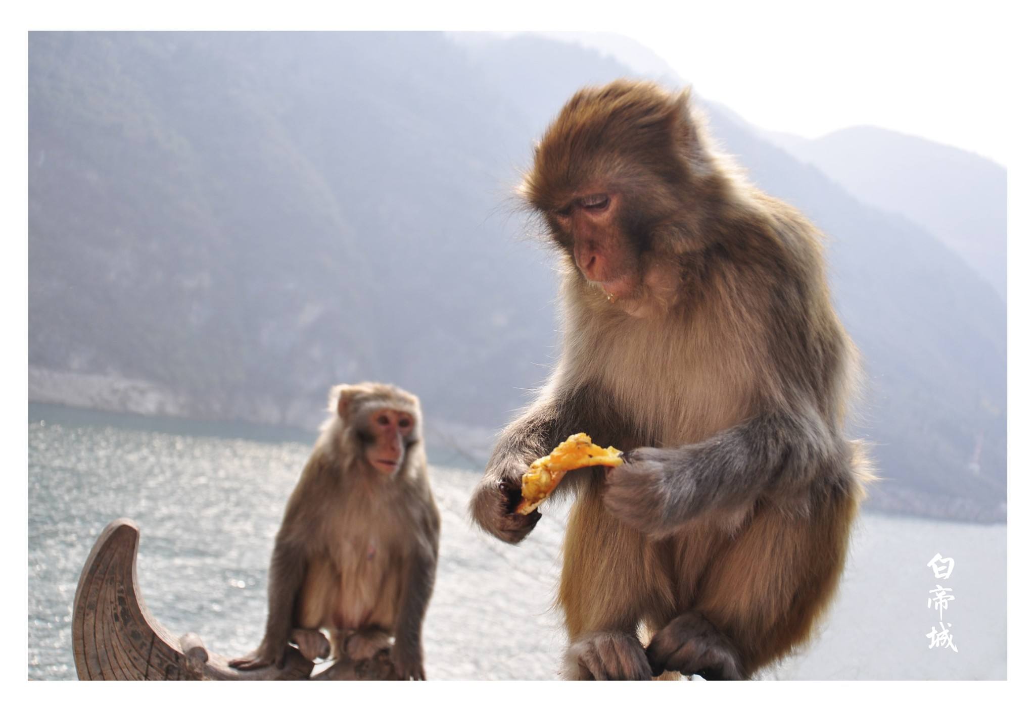 长江三峡-有夔门天下雄！还有-两岸崇山峻岭，悬崖绝壁，风光奇绝