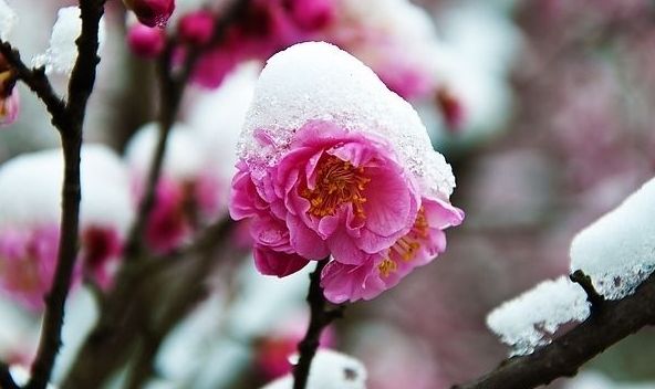 诗词喝火令词牌,诗词喝火令