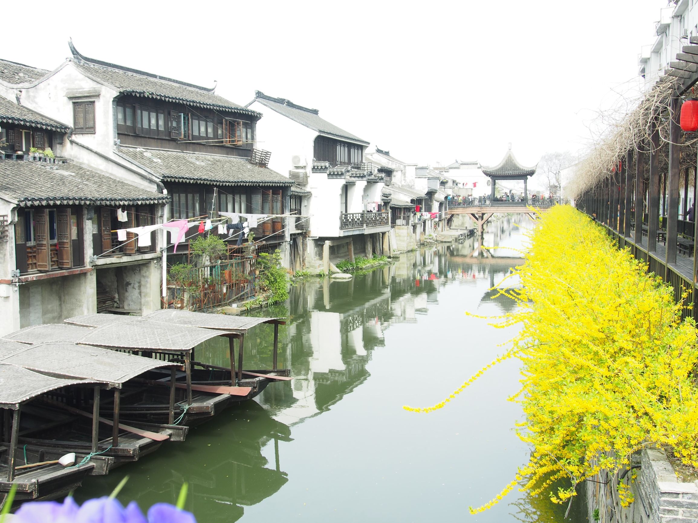 苏州相城沙溪古镇,苏州市沙溪古镇景区