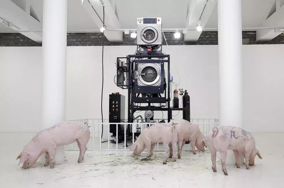 世界上最疯狂的纹身,最贵的纹身北京