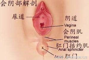 撕裂和侧切哪个好恢复,顺产侧切和撕裂哪个好恢复
