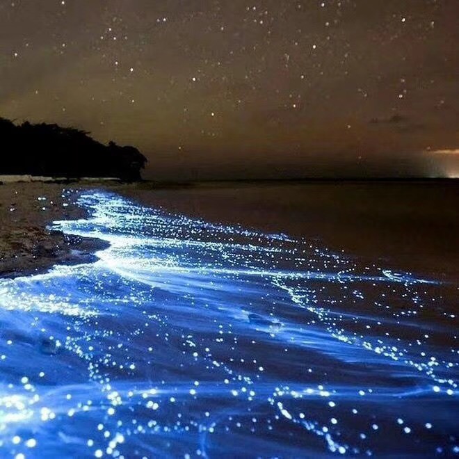 马尔代夫高性价比岛屿,马尔代夫一价全包岛有哪些