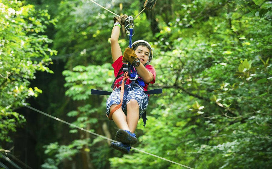 静谧山谷，流泉叠瀑︱呀诺达热带雨林
