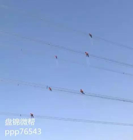 发生车祸英勇牺牲的女民警是谁,最美女交警遇害案