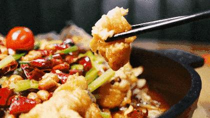 弘阳广场济南老板恋上鱼,济南老板恋上鱼价格