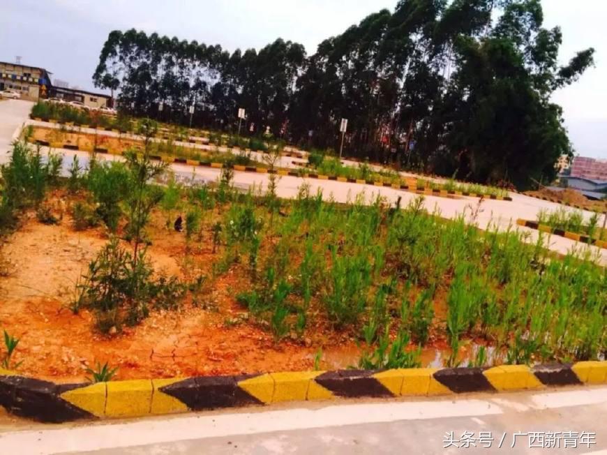 南宁金煌驾校,南宁北湖驾校