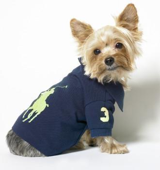 人不如狗系列：住着LV的狗袋，玩着八万元的宠物玩具