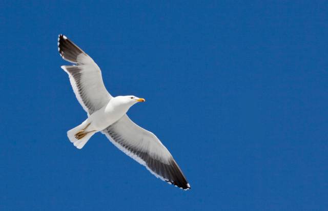 通往南极地下的水道,地球之极破冰船南极之旅