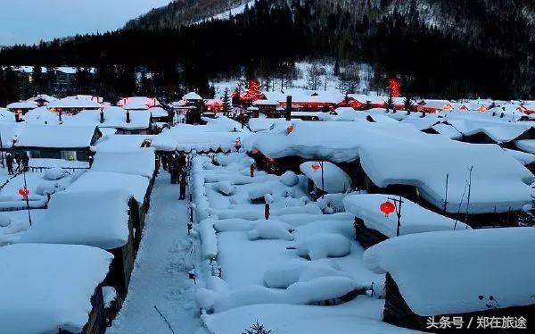 不做待宰的羔羊前面半句,不做束手待宰的羔羊