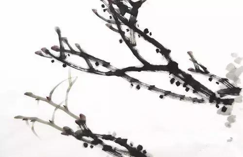 粉笔画牡丹画法简单,牡丹画法简单讲解太实用了