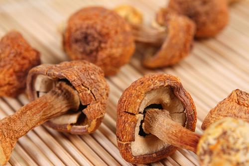 种植大棚一年收入15万元,一年种植20亩地能挣多少钱