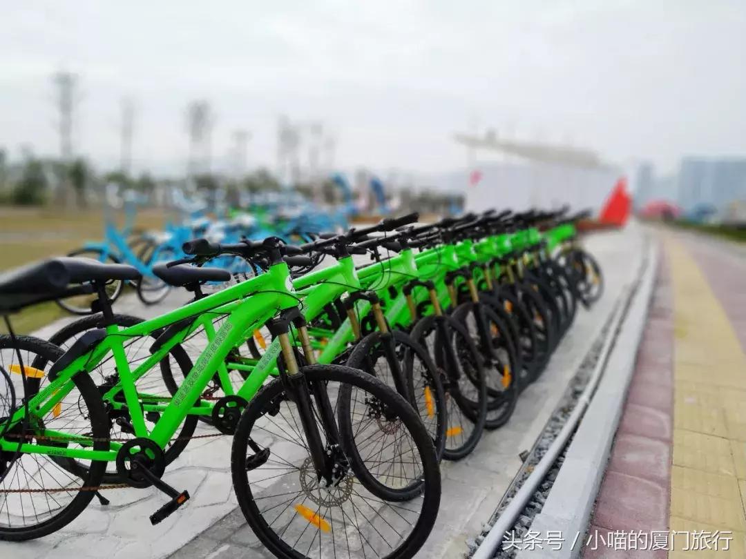 免费试骑！漳州双鱼岛迎来第一批共享山地自行车