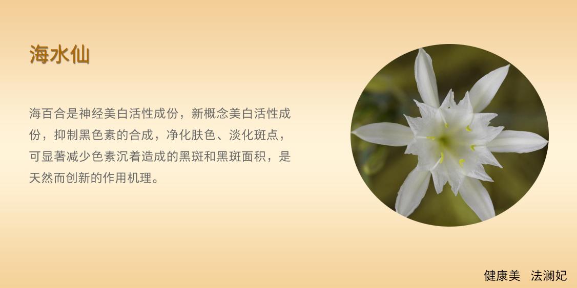 面膜中的劳斯莱斯——法澜妃白藜芦醇黄金面膜重磅上市