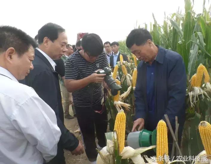 2021全国十佳农民公示名单,2021全国十佳高素质农民