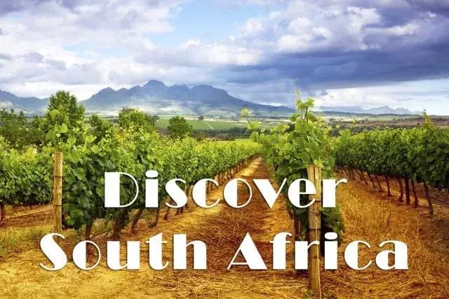 世界上酿葡萄酒最好的地方,世界上哪些地方葡萄酒好