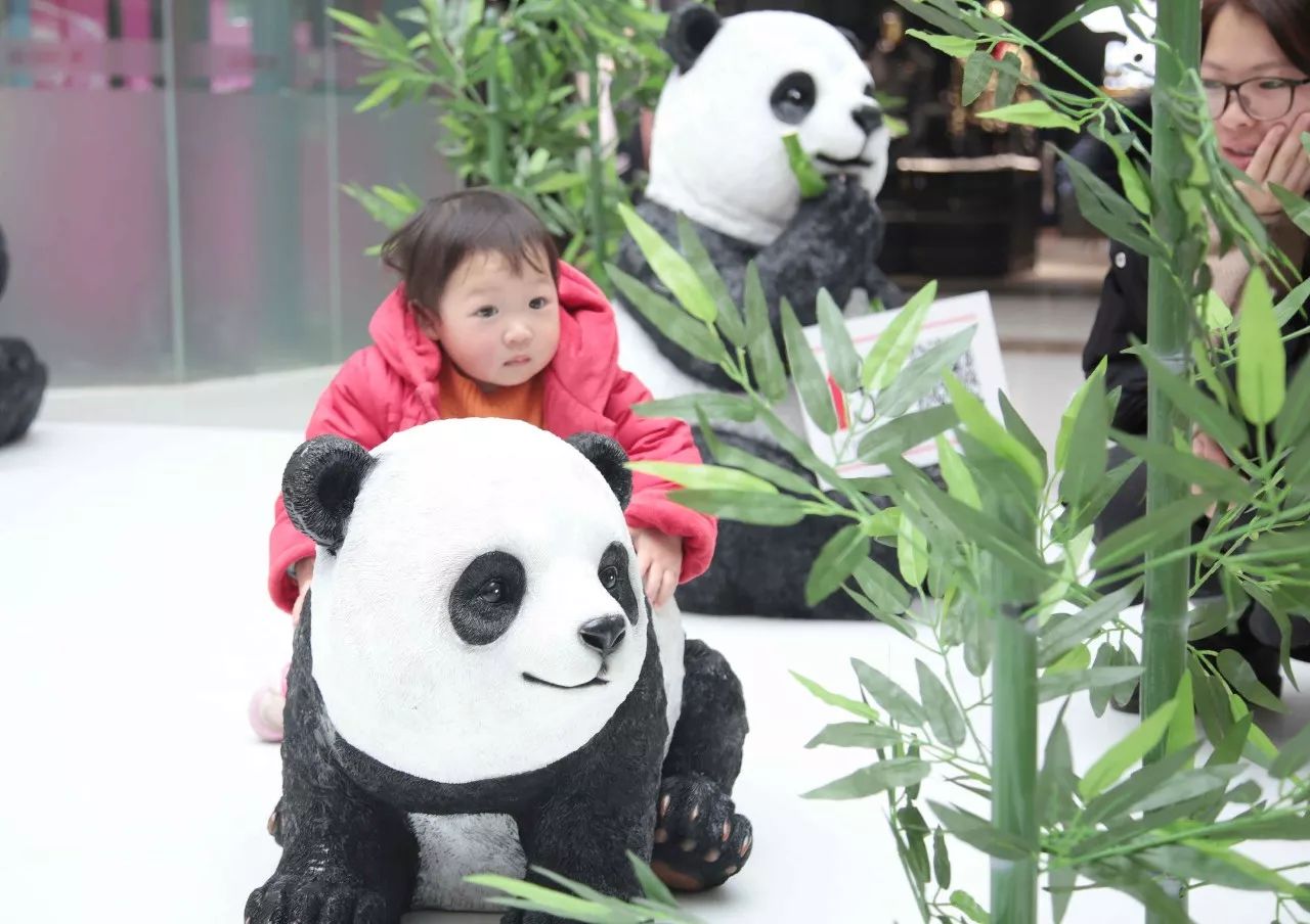 我有兔子你有空吗？来呀，一起喂兔兔呀