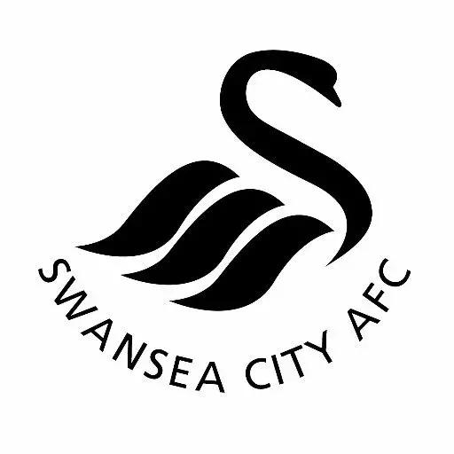 海鸥老鹰大雁,海鸥老鹰孔雀