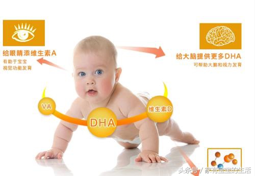 dha很重要但你真的知道该怎么补吗,dha补还是不补怎样补充最有效