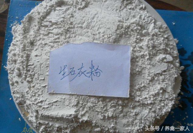 养鸡石灰使用方法,养鸡场生石灰消毒的正确方法