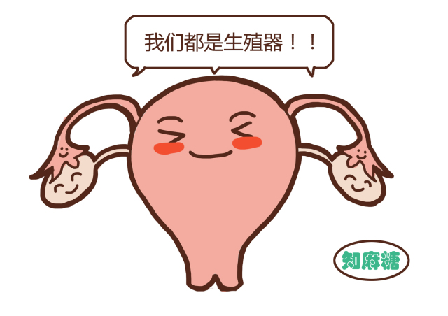 男生不要看女生的温馨小贴士,男生勿看女生什么意思