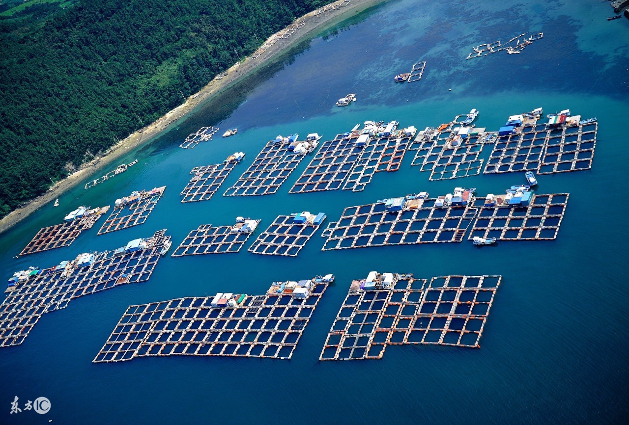 2018有前景的靠谱创业项目,未来5年做什么生意最赚钱项目