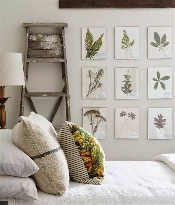 自己在家怎么做植物标本 (秋天如何做植物标本)