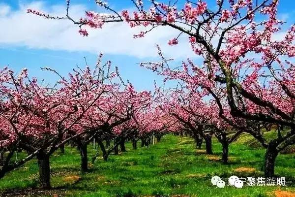 2018涓夋槑鏃呰鏃ュ巻,涓夋槑鏃呮父鏀荤暐鎬荤粨