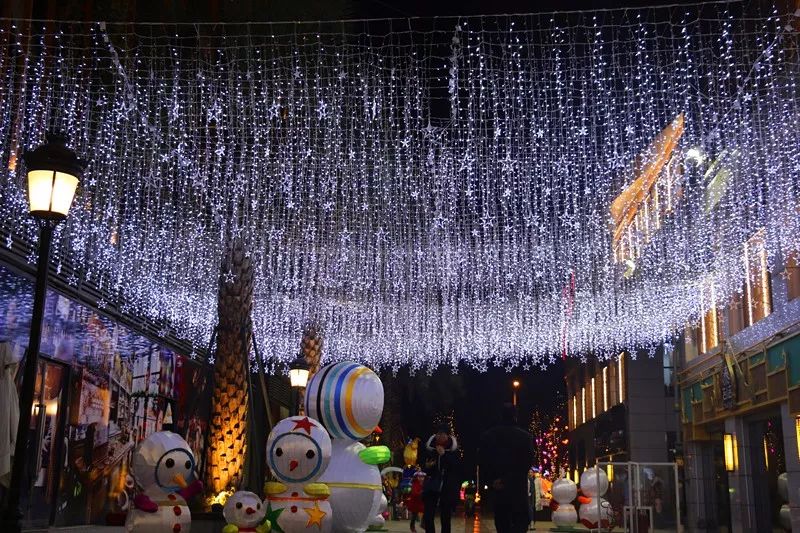 成都灯会七彩田野,灯会大型发光花灯