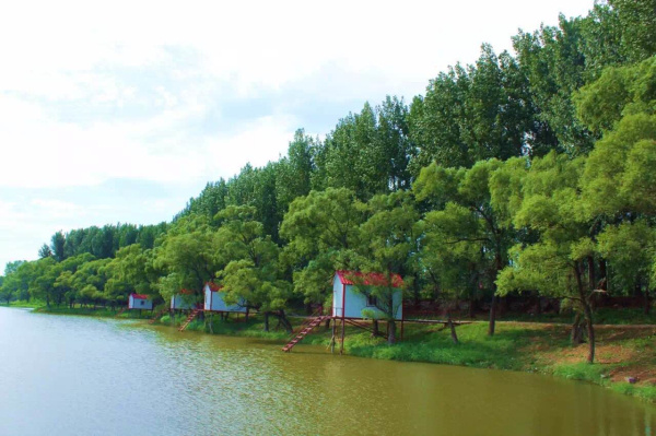 992|关注一个浪漫的邀约，你来吗？