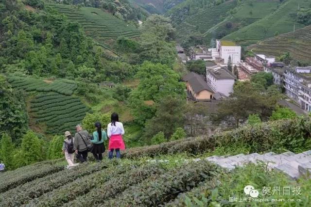 腾飞的昭平！中国最美骑行县，即将诞生！
