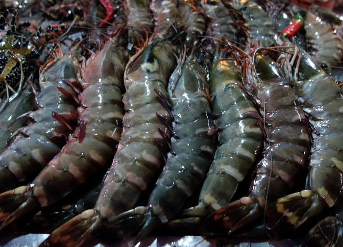 长滩之旅分享篇,长滩旅游行程