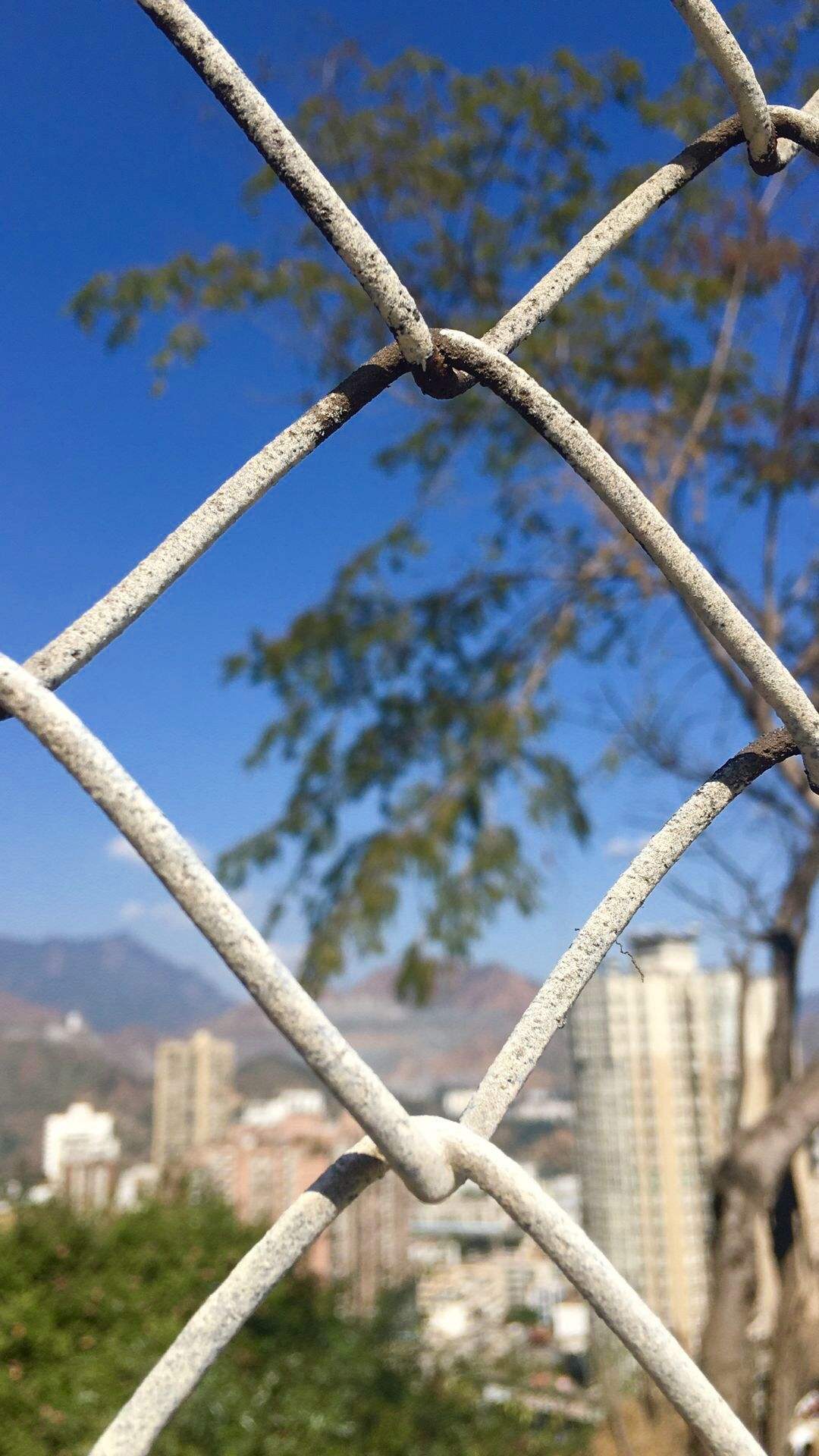 选一款吧！从此攀大就掌握在你手里了！