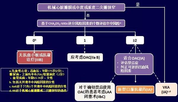 房颤抗凝治疗指南办法,2018年中国房颤诊疗指南