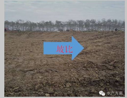 小龙虾养殖塘如何建设,养小龙虾田怎样建塘为好