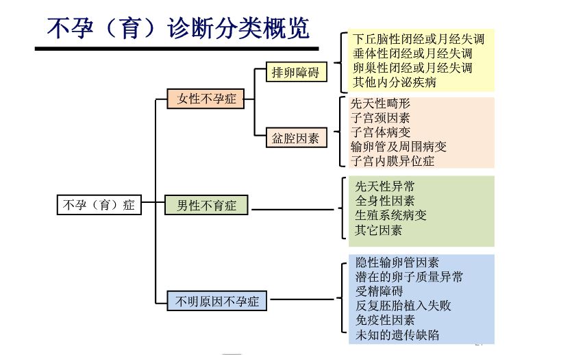 不孕症的诊断标准和评估方法,不生育问题的分析