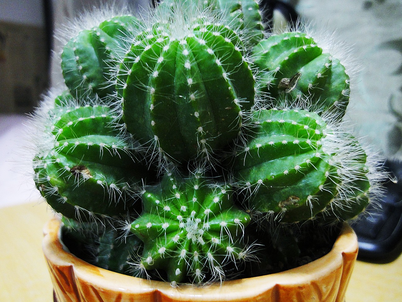 孕妇防辐射有哪些方法,孕期到底怎么防辐射最有效